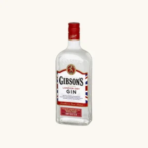Gibson Gin - ANISÉS